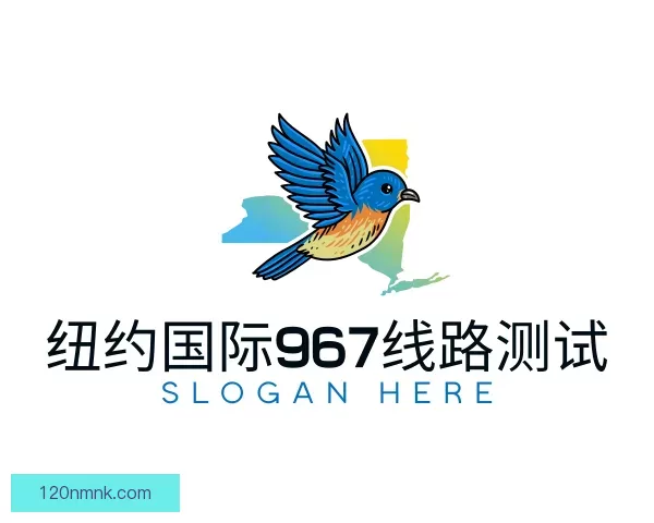 介绍纽约国际967ny