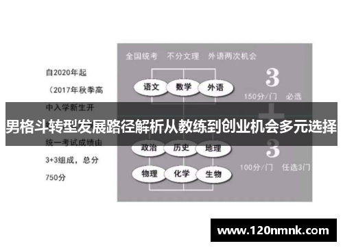 男格斗转型发展路径解析从教练到创业机会多元选择